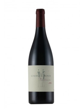 AOC Languedoc Tradicion rouge 2016 • Domaine Le Nouveau Monde