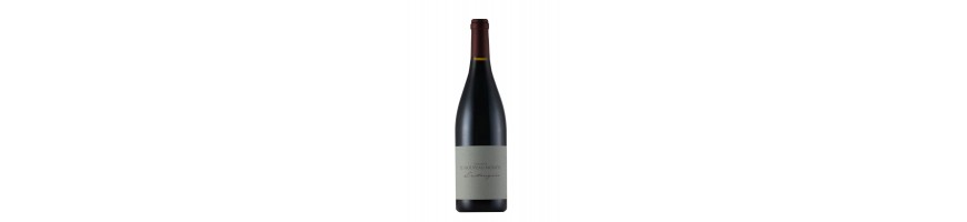 Vins AOC Languedoc rouges  - Vins AOC - Domaine Le Nouveau Monde